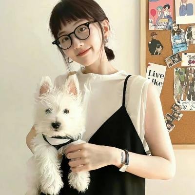 总统特务2